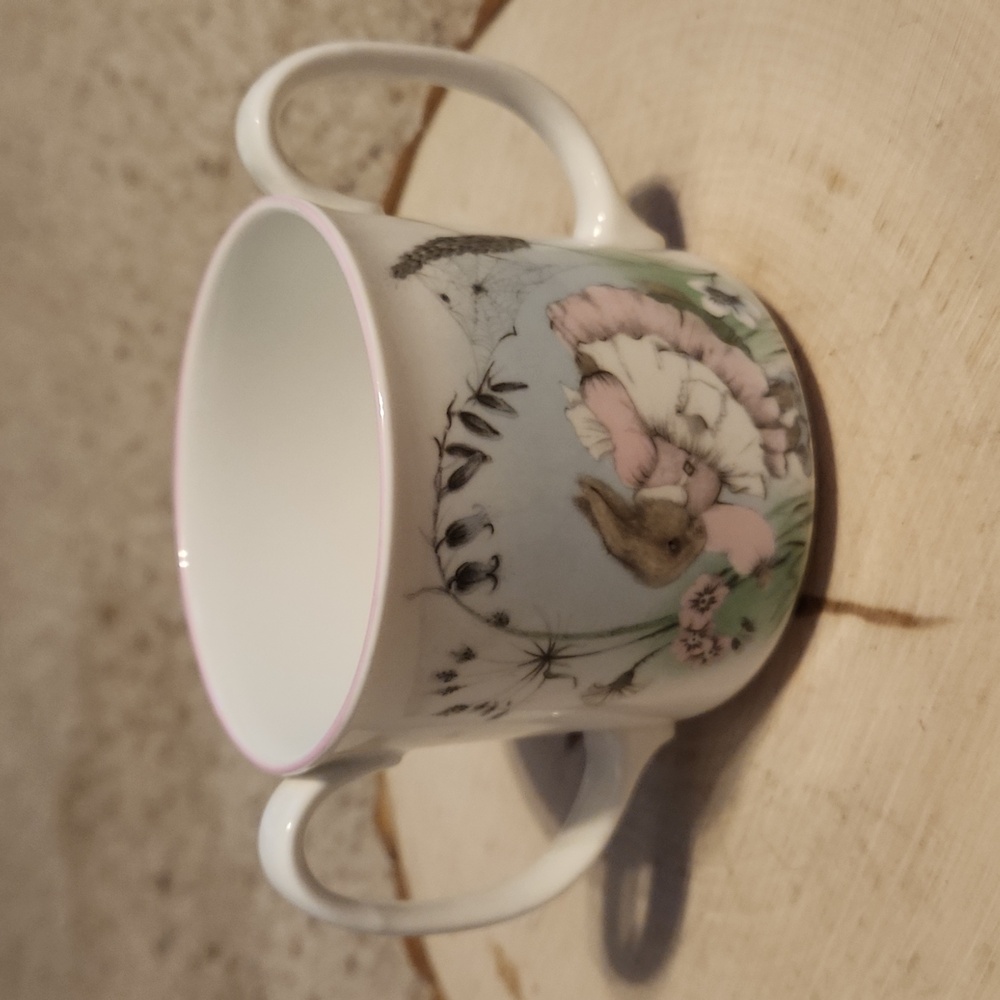 Elizabethan Mrs. Rabbit Hand Decorated Bone China 2 Handle Mug